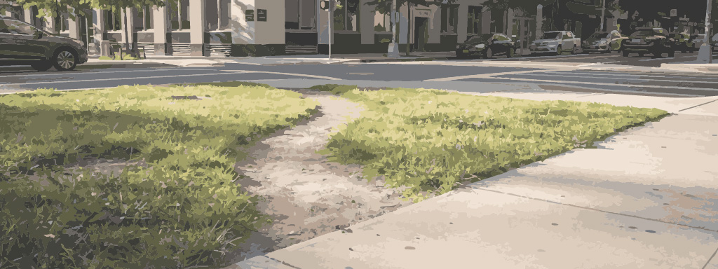 Desire Paths and the Myth of the Imaginary User